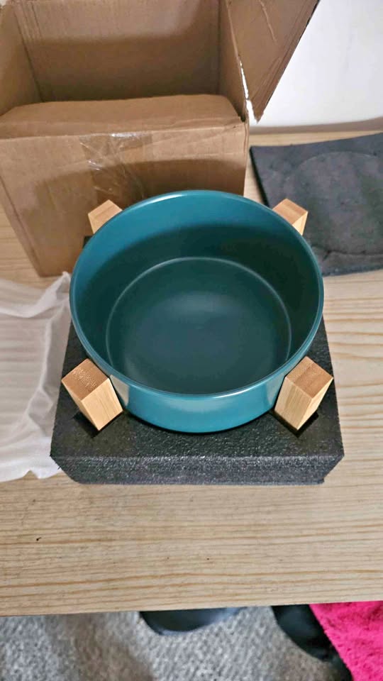 Modern Bowl with Wooden Stand